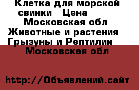 Клетка для морской свинки › Цена ­ 500 - Московская обл. Животные и растения » Грызуны и Рептилии   . Московская обл.